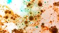 Microscopic picture of a microbial community.