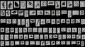 Collage of numerous small images, arranged in several rows on top of each other. The tiny particles described in the text can be seen.