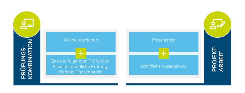 Web Risikomanagement Prüfungsleistungen Grafik