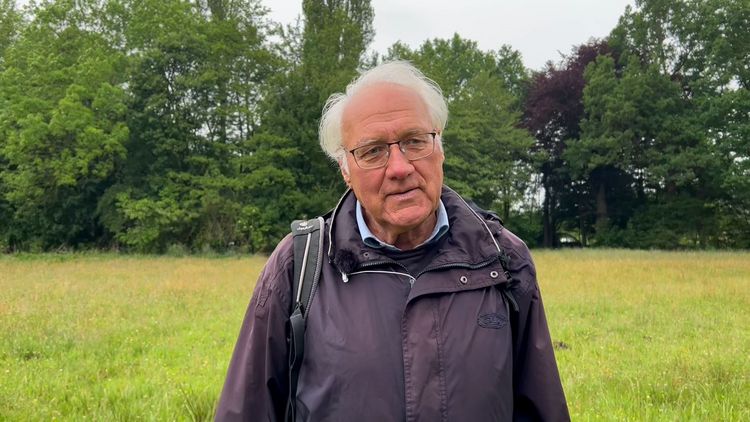 Portrait of Prof. Dr Rainer Buchwald