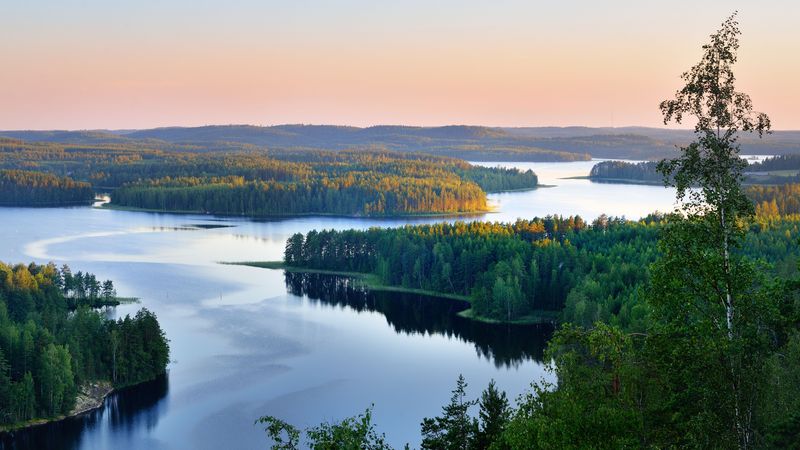 Luftbild eines verzweigten, von Wald umgebenen finnischen Sees im Sonnenuntergang.