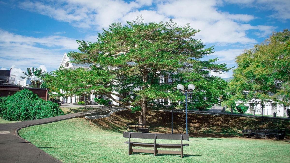 Ein grüner Rasen mit Bäumen und Bänken befindet sich auf dem Campus der University of Mauritius. Im Hintergrund ist ein weißes Gebäude mit einem markanten Dach zu sehen. Der Himmel ist blau mit weißen Wolken.