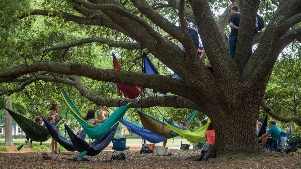 Hängematten mit Studierenden auf dem Campus der UNCW