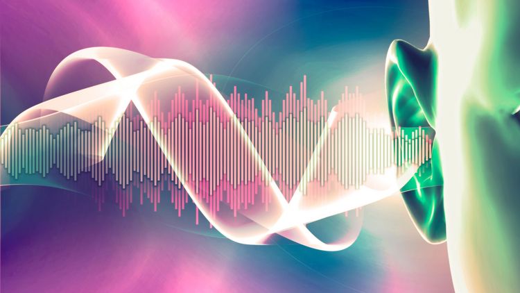 A stylised graphic of part of a head. A sound wave hits its ear.