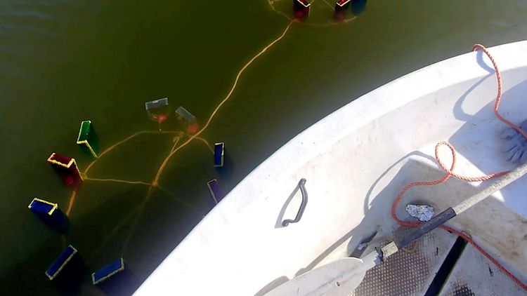 A lake with bottles in the water.