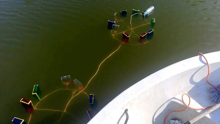 Ein See mit Flaschen, die von einem Boot aus ins Wasser gelassen werden.