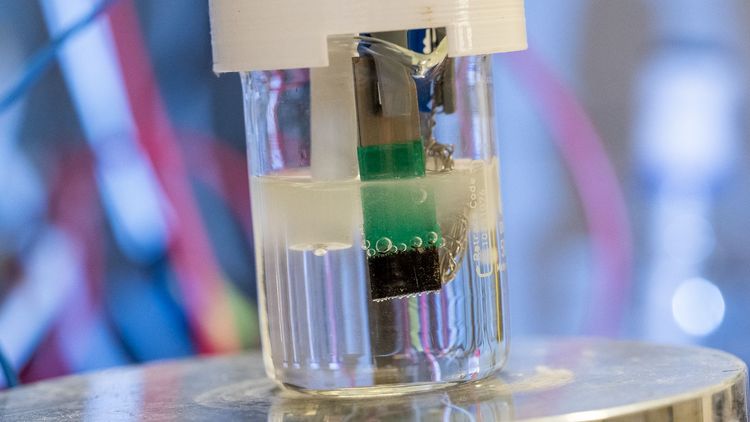 Close-up of a beaker containing a transparent liquid, in which an electrode made of a flat metal strip and one made of a knotted metal wire are inserted. Several gas bubbles can be seen on the front electrode.