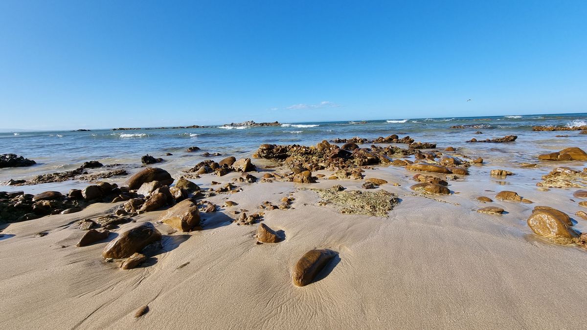 Meer