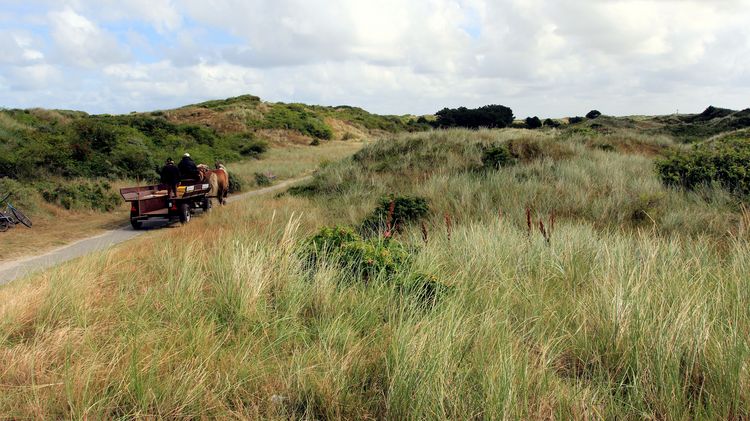 Ausflug an die Nordsee