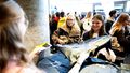 The picture shows freshers getting their UOL rucksacks. These are handed over by kind staff members of the Press & Communication office.