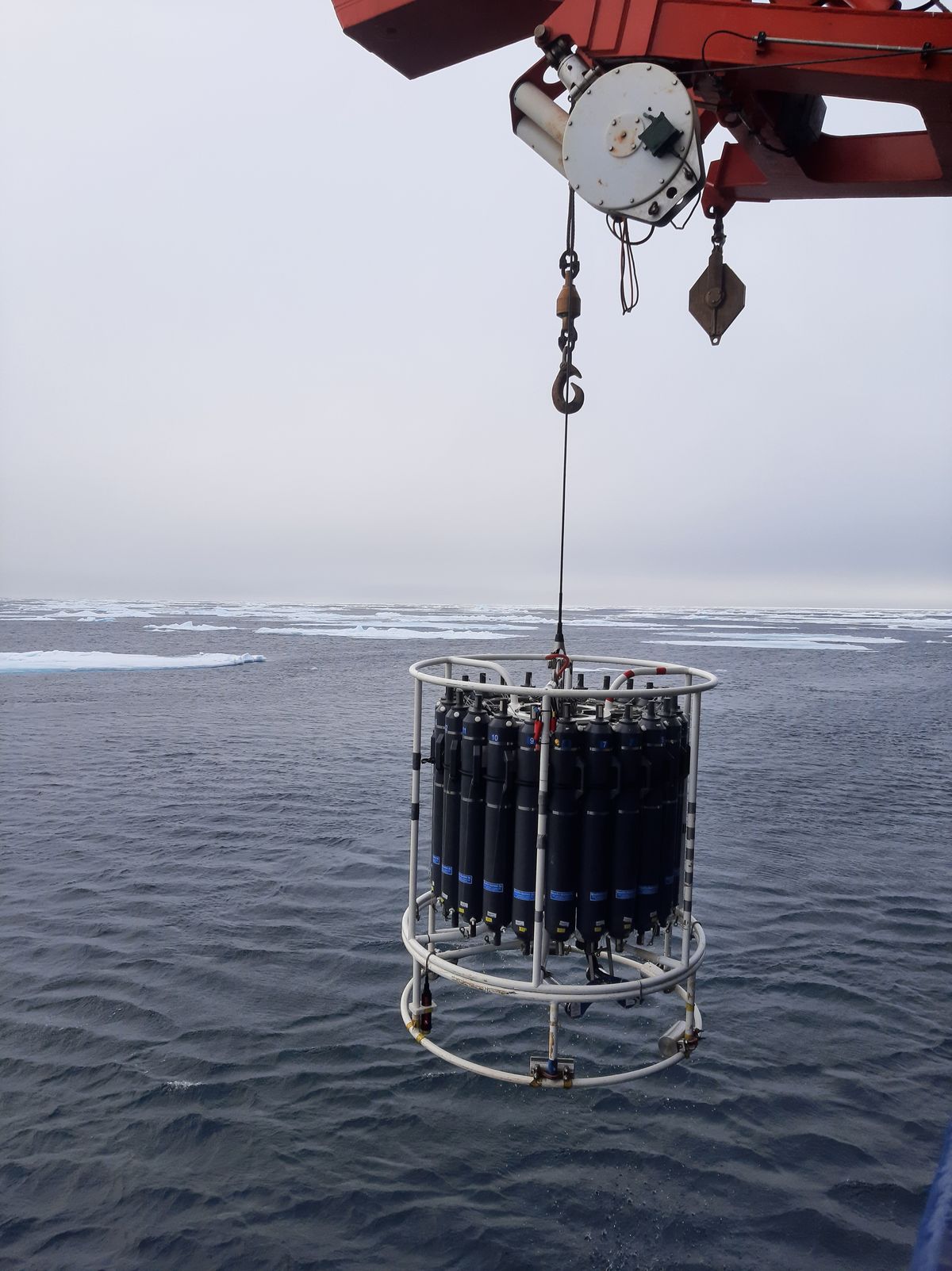 Planktonuniversum im Nordpolarmeer — Lisann Bierbaum — Mit meinem Arbeitsgerät – dem Kranzwasserschöpfer mit Conductivity-Temperature-Depth Sensoren – an Bord der Polarstern hole ich als Hiwi des Alfred-Wegener-Instituts Wasserproben aus unterschiedlichen Meerestiefen. Diese untersuche ich mittels Filtration daraufhin, welche Partikel im Wasser vorhanden sind. Die Frage ist, welche Faktoren die Vielfalt von Plankton in welchem Ausmaß beeinflussen.