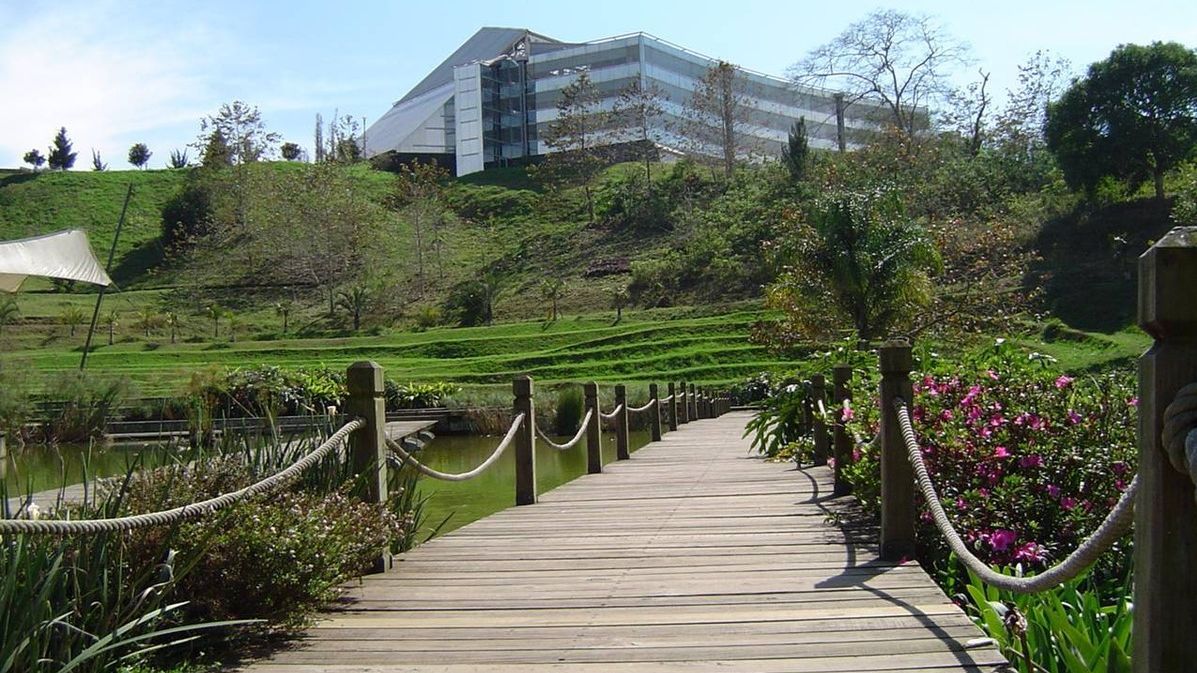 Bibiliothek und Informationszentrum der Universidad Veracruzana 