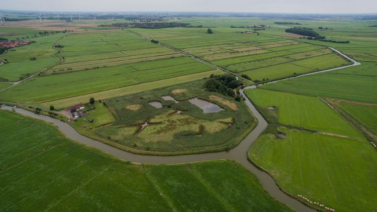 Luftbild vom Freepsumer Meer, einem ehemaligen See, der 2,50 Meter unter Normalnull liegt. 