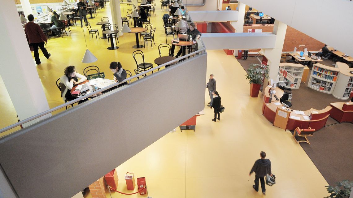 Bibliothek 