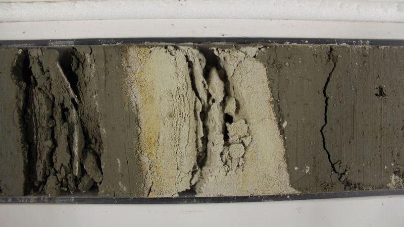 Aufgeschnittener Bohrkern mit heller Ascheschicht in der Mitte.