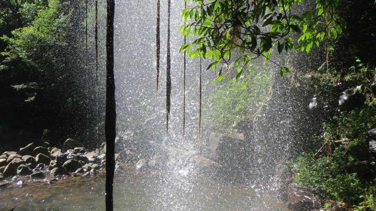 Das Bild zeigt einen Wasserfall inmitten üppiger Vegetation. Wasser stürzt in einem feinen Sprühnebel herab, der von Sonnenlicht durchdrungen wird. Im Hintergrund sind Felsen und grünes Laub zu sehen. Die Szene wirkt erfrischend und natürlich.