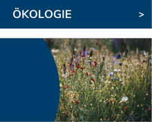 Zur Ökologie