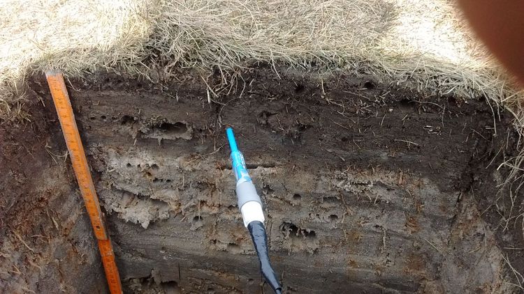 A hole in the ground with vertical walls, you can see three layers of soil in different colors, a folding rule and an electrode inserted into the ground.