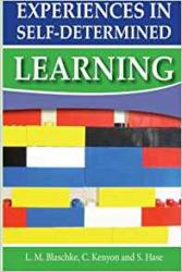 Experiences in SD learning book cover