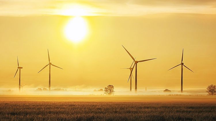 Ein Feld mit mehreren Windkraftanlagen, Bodennebel und Sonnenuntergang.  