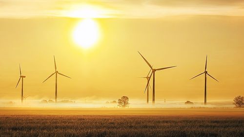 Ein Feld mit mehreren Windkraftanlagen, Bodennebel und Sonnenuntergang.  