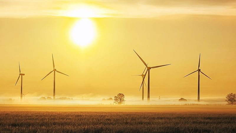 Ein Feld mit mehreren Windkraftanlagen, Bodennebel und Sonnenuntergang.  