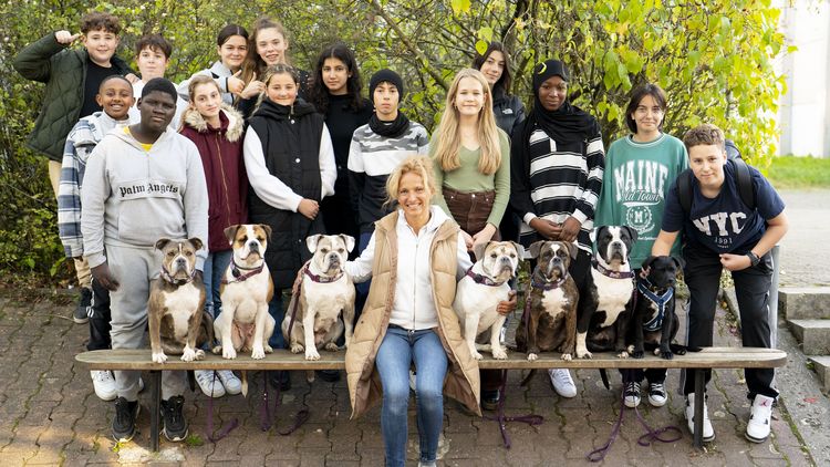 Gruppenbild mit Hunden