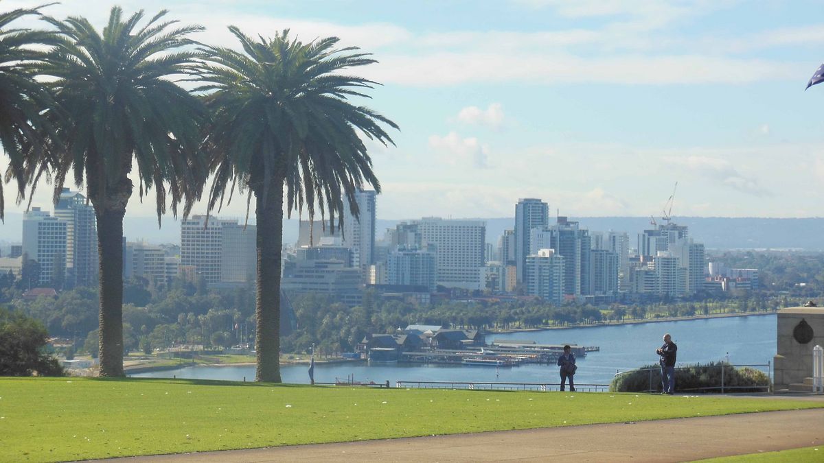 Das Bild zeigt die Skyline von Perth, Australien, aufgenommen aus dem Kings Park. Palmen im Vordergrund rahmen die modernen Gebäude der Stadt, die sich am Ufer eines Gewässers erstrecken. Auf der grünen Rasenfläche des Parks befinden sich einige Personen. Der Himmel ist blau mit vereinzelten Wolken. Die Szene vermittelt ein Gefühl von urbaner Schönheit und entspannter Atmosphäre.