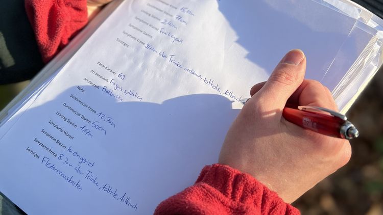 Großaufnahme von Zettel und Hand, die einen Stift hält