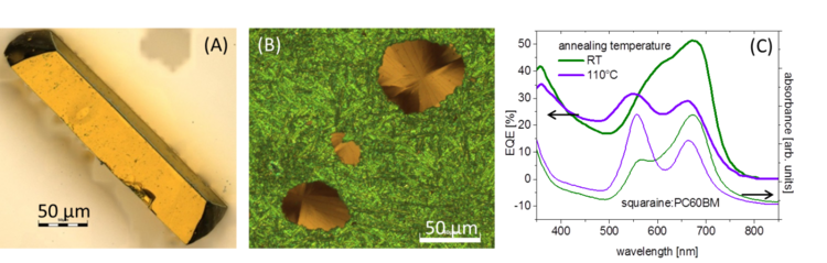 Fig. 1: (A) Ein Squarain-Einkristall zeigt Goldglanz. (B) Polarisierte Lichtmikroskopie zeigt den Polymorphismus einer Squarain-Schicht. (D) Die Quanteneffizienz (EQE) von Squarain-Fulleren-Solarzellen hängt von der thermischen Behandlung der aktiven Sch