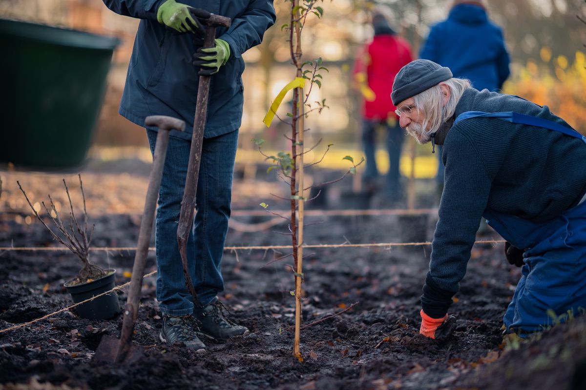 Ein Mann kniet auf der Erde und pflanzt einen Baum. Eine weitere Person sieht man links daneben, ihr Gesicht ist nicht zu sehen.