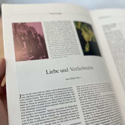 Das Bild zeigt eine Druckseite des im Text besprochenen Einblicke-Artikels.