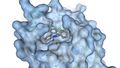 Grafik zeigt die Protease als großes, unregelmäßig geformtes Gebilde. Ein möglicher Wirkstoff füllt eine Art Tasche innerhalb des Moleküls aus.