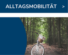Zur Alltagsmobilität