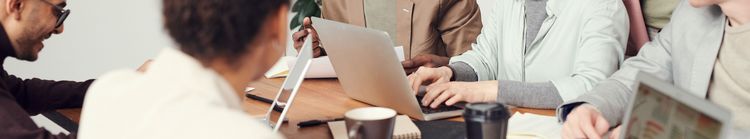 Eine Gruppe von jungen Menschen arbeitet gemeinsam an ihren Laptops.