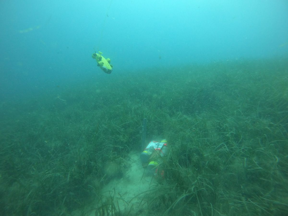 Unterwasserdrohne vor einer künstlichen Oktopushöhle auf einer Seegraswiese vor der Insel KrK, Kroatien in 14 Meter Tiefe. — Daniel Kalysch — Bei meinem Forschungspraktikum haben wir OKtopushöhlen gebaut und um die Insel KrK im Meer versenkt, um zu schauen wie gut die Oktopusse die Höhlen unter welchen Umständen (Tiefe, Umgebung, Ausstattung der Höhlen) besser annehmen. Es gab Höhlen mit Steinen als Türen, offene Höhlen oder welche, die auf einer Seite geschlossen waren. Wir hatten Höhlen in 14, 16, 24, 67 und 90 m Tiefe und haben sie mit einer Unterwasserdrohne ein mal die Woche Kontrolliert.