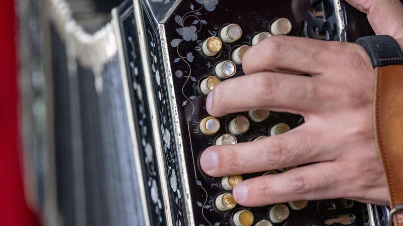 Nahaufnahme von Alems linker Hand, die durch eine lederne Griffschlaufe greift, mit der er das Instrument trägt. Seine Finger liegen zum Spiel auf den kleinen, runden, perlmuttfarbenen Knöpfen.