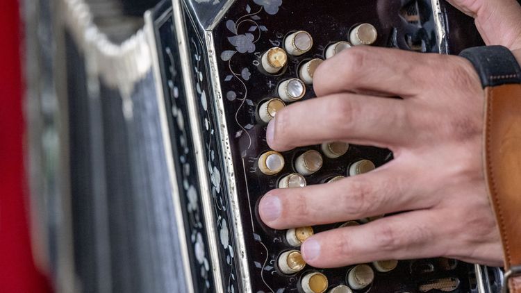 Nahaufnahme von Alems linker Hand, die durch eine lederne Griffschlaufe greift, mit der er das Instrument trägt. Seine Finger liegen zum Spiel auf den kleinen, runden, perlmuttfarbenen Knöpfen.