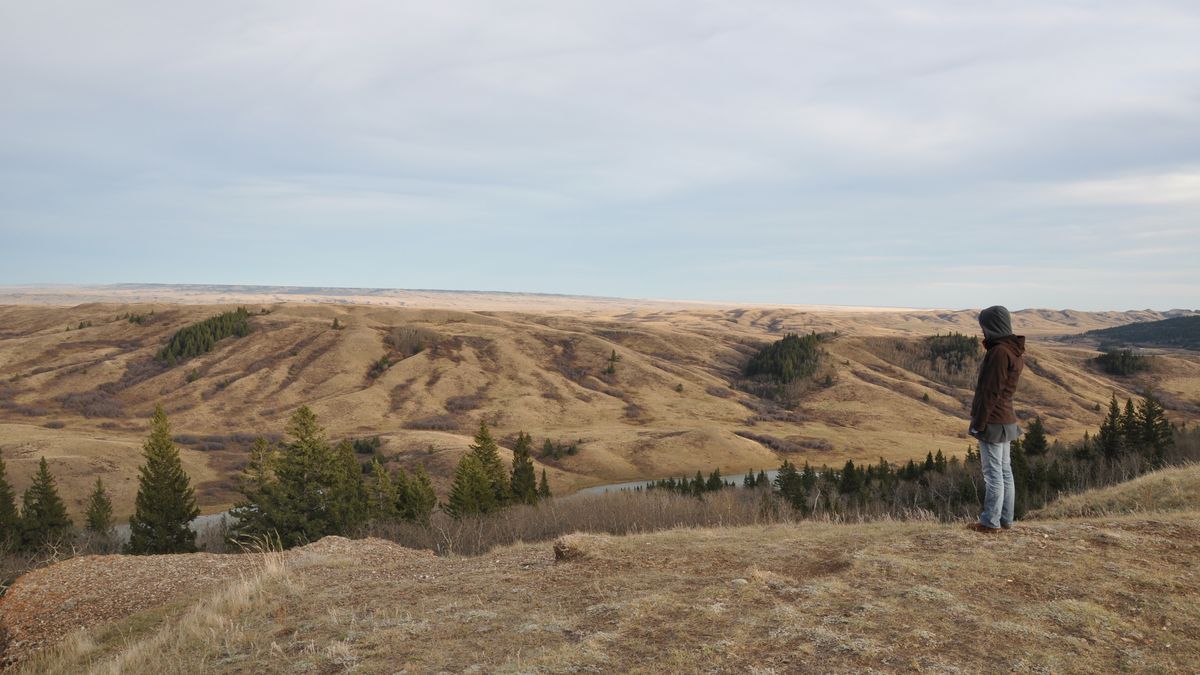 Cypress Hills Nationalpark