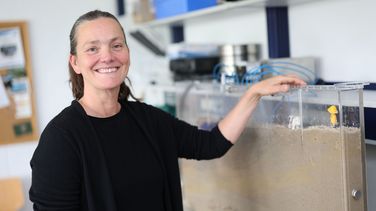 Das Bild zeigt Gudrun Massmann. Sie steht in einem Labor an einem gläsernen Modellkasten, der mit Sand gefüllt ist. Sie hat ihren Arm auf den Kasten gelegt und lächelt in die Kamera.