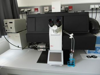 Leica DMi8