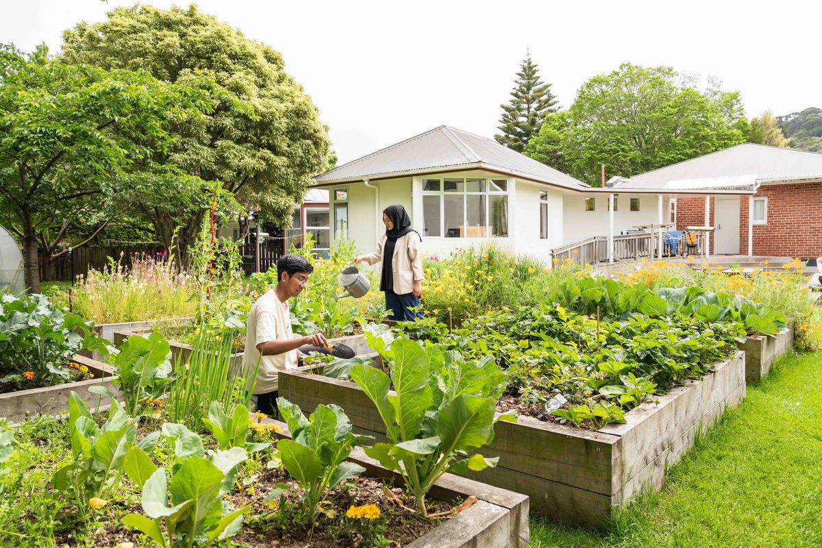 Das Bild zeigt zwei Studierende, die in einem üppigen Gemüsegarten arbeiten. Eine Studentin gießt Pflanzen mit einer Gießkanne, während ein Student sich über die Beete beugt. Der Garten ist voller verschiedener Gemüsesorten und Blumen, was auf ein nachhaltiges und praktisches Lernumfeld auf dem Campus der University of Otago hindeutet.