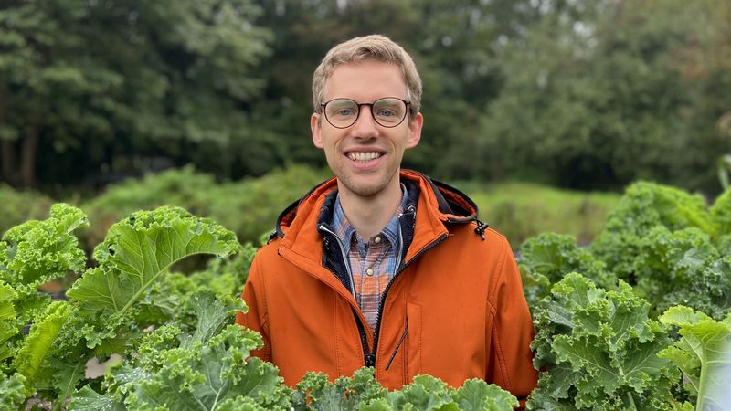 Junger Mann schaut zwischen Grünkohlpflanzen hervor.