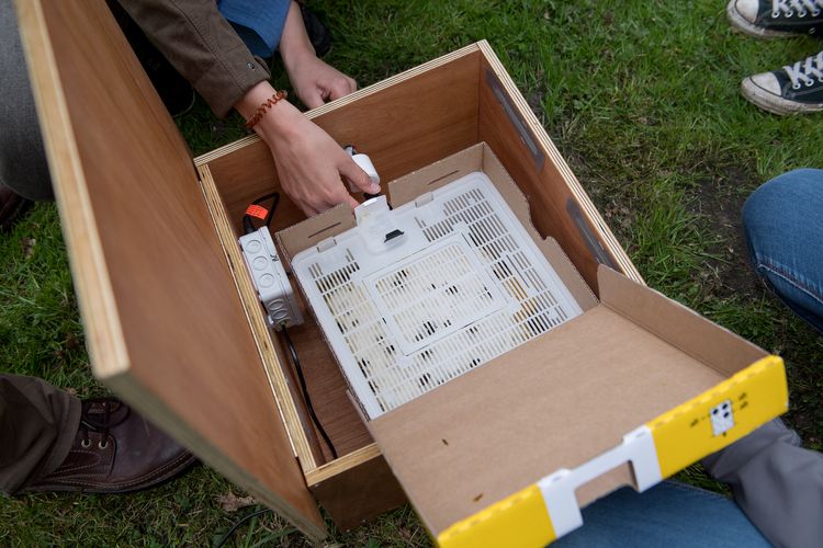 Das Hummelnest befindet sich in einem Kunststoff-Behälter mit vielen Lüftungsschlitzen, durch die man die einzelnen Tiere sehen kann. Der Kunststoffbehälter befindet sich in einem Holzkasten. An dessen Innenseite ist der Sensor befestigt. Vom Nest verläuft ein Kunststoffrohr durch die Wand des Holzkastens nach draußen. Hierüber können die Hummeln in das Nest hineinfliegen und es verlassen.
