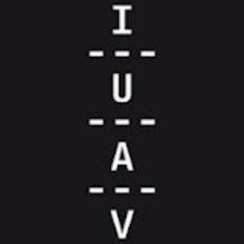 Logo der Kunsthochschule IUAV Venedig