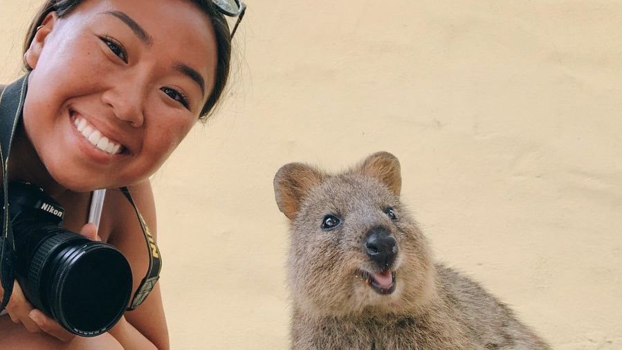 Das Bild zeigt ein Selfie einer Frau mit einem Quokka, einem kleinen, känguruartigen Beuteltier. Die Frau lächelt in die Kamera, während der Quokka direkt daneben sitzt und ebenfalls in die Kamera schaut. Die Frau trägt eine Kamera um den Hals. Der Hintergrund ist sandfarben. Die Szene wirkt fröhlich und verspielt.