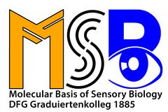 MSB JPG 3