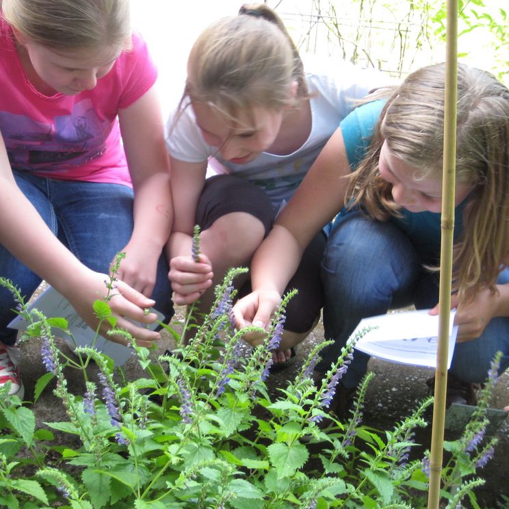 Lehr-Lern-Labor Grüne Schule Drei Kinder inspizieren die Pflanznen
