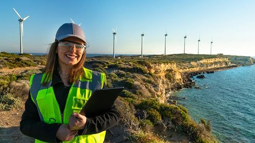 Windenergietechnik und -management