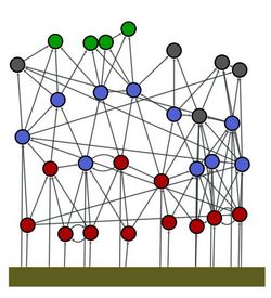 Math Mod Netzwerk ueber mehrere trophische Stufen
